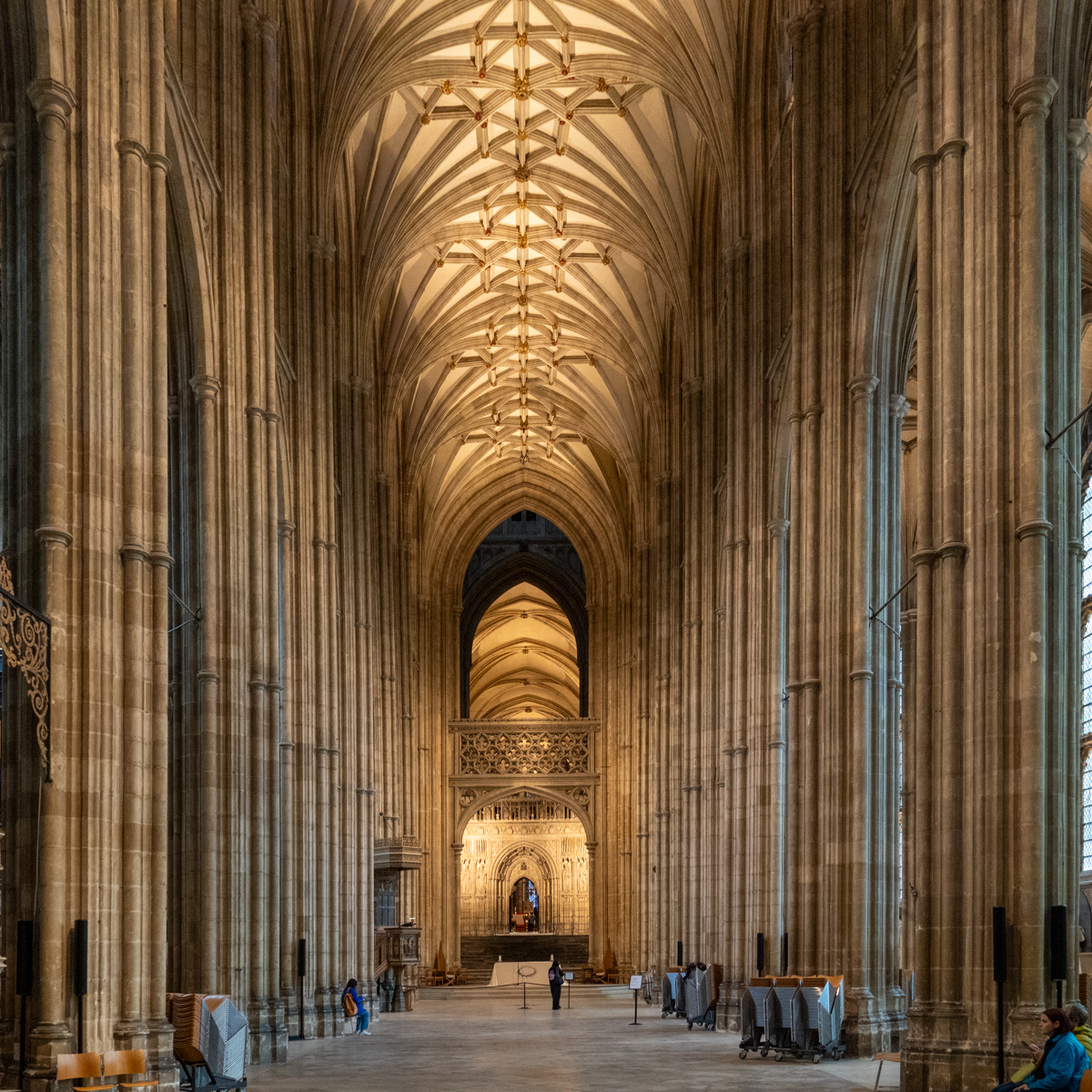 Photography by Chris Allington